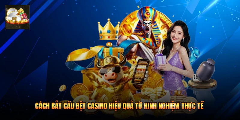 Cách Bắt Cầu Bệt Casino Hiệu Quả Từ Kinh Nghiệm Thực Tế
