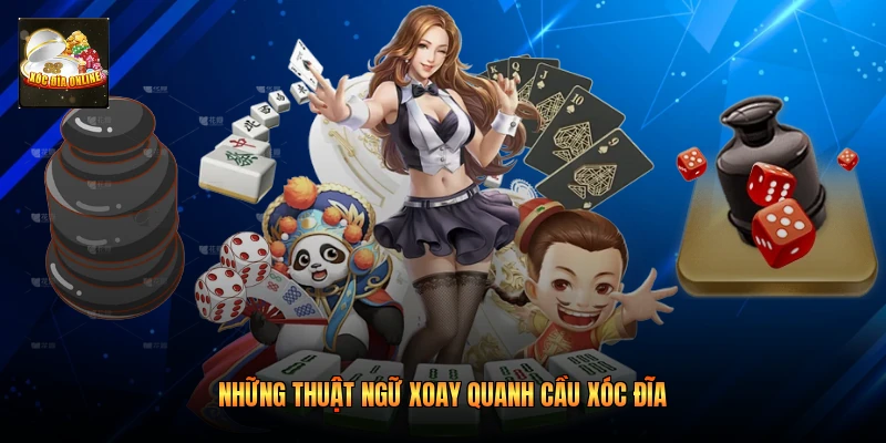 Những thuật ngữ xoay quanh cầu xóc đĩa